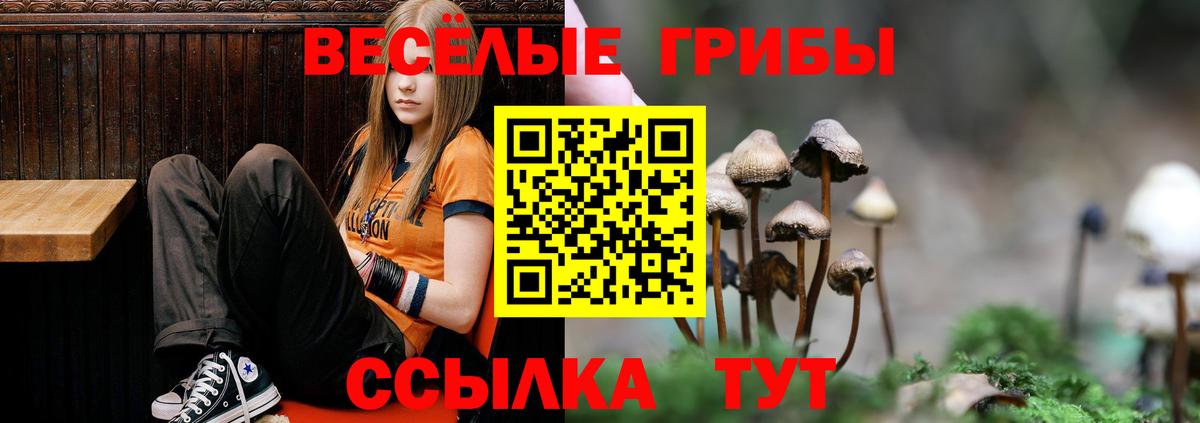 Подольск  Псилоцибиновые грибы MAGIC MUSHROOMS  Вход с VPN  Галлюциногенные грибы Magic Shrooms 